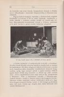 Molisch, Hans:

A felkelő nap országában. Fordította Rapaics Rajmund. 195 szövegközti képpel.

B...