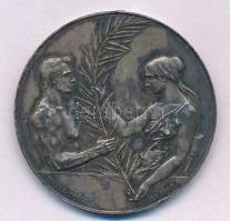 Damkó József (1872-1955) / Exner Károly (1850-1919) DN Magyarországi Torna-Egyletek Szövetsége ezüstözött bronz emlékérem, peremen fúrt lyukkal (45mm) T:XF patina