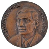 Tóth Sándor (1933-2019) 2005. "Prof. Haynal Imre 1892-1979 / Országos Gyógyintézeti Központ Budapest - National Medical Center" bronz emlékérem eredeti, Asszonyi Tamás által tervezett bőr dísztokban (95mm) T:AU