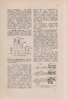 Új kincseskönyv. Gyakorlati tanácsadó. A mindennapi élet természettudományi és technikai kérdéseiben...