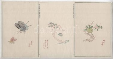 XX. század eleje: 3 db kínai színes metszet rizspapíron, 22×15 cm