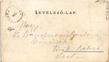 1899 (Vorläufer) Budapest V. Városi Vigadó. Walter Haertel, C. Andelfinger & Cie. Nr. 164. (kopo...