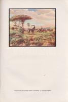 Huszár László:,,Kwaheri'', ,,Viszontlátásra" Afrikai vadásznaplójából írta báró Huszá...