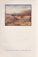 Huszár László:,,Kwaheri'', ,,Viszontlátásra" Afrikai vadásznaplójából írta báró Huszá...