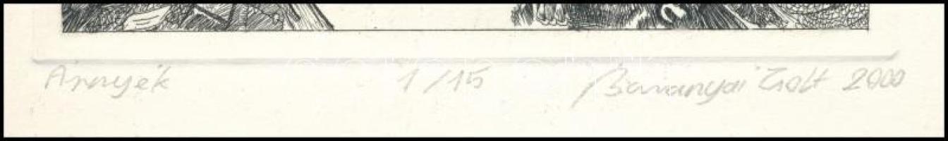 Baranyai Zsolt (-): Árnyék, 2000. Rézkarc, papír, jelzett, 1/15 számozással. 18,5x13,5 cm