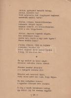Somlyó György:
Végzetes verssorok.
Budapest, 1916. Galántai Gyula (,,Jókai" és Löbl Mór ny. r...