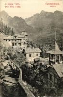 1910Tátra, Magas-Tátra, Vysoké Tatry; Tarpatakfüred. Divald Károly 1462-1908. / Kohlbachtal