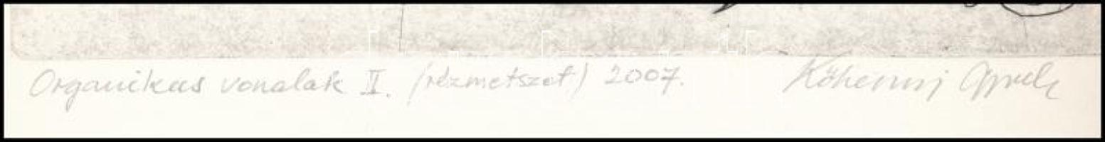 Kőhegyi Gyula (1933- ): Organikus vonalak II., 2007. Rézmetszet, papír, jelzett, 12,5x18,5 cm. Lap j...