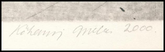 Kőhegyi Gyula (1933- ): Óvd a természetet, 2000. Hidegtű, papír, jelzett, őpróbanyomat, 20x29,5 cm. ...