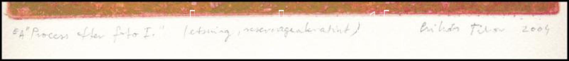 Csikós Tibor (1957-): Process after foto I. Színes rézkarc, akvatinta, papír, jelzett, művészpéldány...