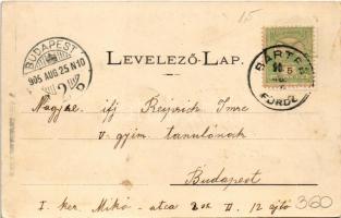 1905 Bártfafürdő, Bardejovské Kúpele, Bardiov, Bardejov; Schedel villa (fl)