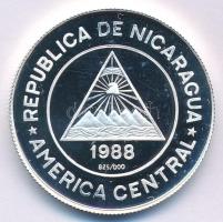 Nicaragua 1988. 50C Ag "Téli Olimpia 1988 Calgary" T:PP karc Nicaragua 1988. 50 Cordobas A...