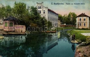 Ceské Budejovice mill