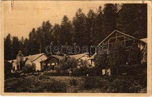 Bártfafürdő, Bardejovské Kúpele, Bardiov, Bardejov; Felső Erdősor, Hungária és Délibáb nyaraló, Matild lak. Eschwig Ede és Hajts kiadása, Hajts Kornél felvétele / villas (Rb)