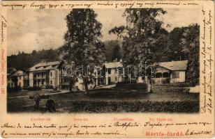 1902 Bártfafürdő, Bardejovské Kúpele, Bardejov; Erzsébet, Anna és Dr. Hintz lak, Viszontlátás. Kiadja Divald Adolf 137. / villas (EK)