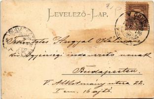 1901 Bártfafürdő, Bardejovské Kúpele, Bardiov, Bardejov; Erzsébet királyné forrás, Deák tér és száll...