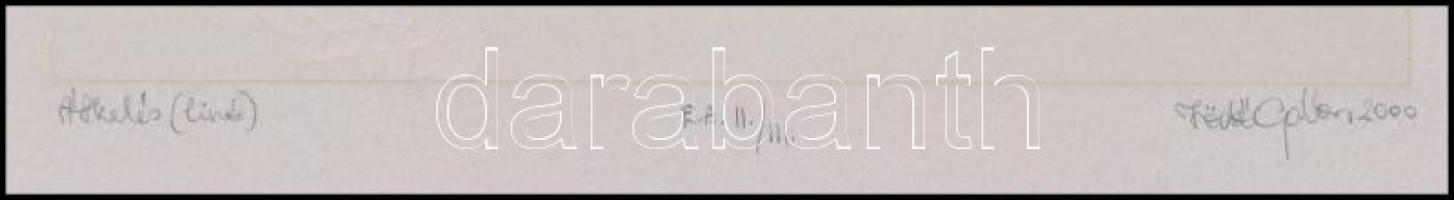 Födő Gábor (1974-): Átkelés. Linómetszet, papír, jelzett, művészpéldány EA II/III. számozással, 14x1...