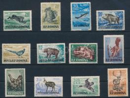 Állatok sor, Animals set