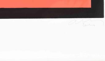 Aknay János (1949-): Emlék. Szitanyomat, papír, jelzett, 4/30 számozással. 54x84 cm. Üvegezett faker...