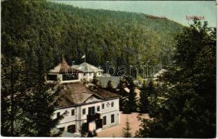 1911 Iglófüred, Bad Zipser Neudorf, Spisská Nová Ves Kupele, Novovesské Kúpele; Tulipán ház és vendéglő / spa, villa, restaurant