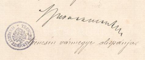 1895 Trencsén vármegyei díszes bizonyítvány levéltáras részére, Baross Jusztin alispán saját kezű al...