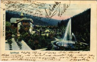 1906 Iglófüred, Bad Zipser Neudorf, Spisská Nová Ves Kupele, Novovesské Kúpele; Millenium szálloda. Wlaszlovits Gusztáv kiadása No. 1538. / spa, hotel, villa (fl)