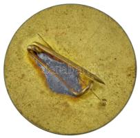 1955. "DISZ (Dolgozó Ifjúság Szövetsége) - 1955. április 4." a felszabadulás 10. évforduló...