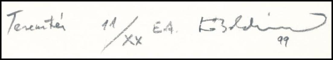 Kő Boldizsár (1969-): Teremtés, 1999. Rézkarc, papír, jelzett, művészpéldány EA 11/XX számozással. 1...