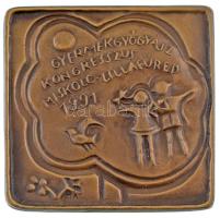 1991. "Gyermekgyógyász Kongresszus Miskolc Lillafüred 1991" egyoldalas, öntött bronz plakett, eredeti karton dísztokban (71x70mm) T:AU