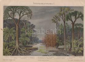 Potonié, H[enry]:  Lehrbuch der Pflanzenpalaeontologie, mit besonderer Rücksicht auf die Bedürfnisse des Geologen. Mit 3 Tafeln und fast 700 Einzelbildern in 355 Text-Figuren.  Berlin, 1899. Ferdinand Dümmers Verlagsbuchhandlung (Druck von G. Bernstein in Berlin). 1 t. (színes kőnyomatú címkép) + VIII + 402 p. + 2 t. (kőnyomat).  Henry Potonié (1857-1913) német botanikaprofesszor ősnövénytani és rendszertani kézikönyve, oldalszámozáson belül gazdag szövegközti illusztrációs anyaggal. A címoldalon és a belív néhány oldalán régi gyűjteményi bélyegzések.  Poss.: A Királyi József Műegyetem Növénytani Szertára, Agrártudományi Egyetem Központi Könyvtára.  Aranyozott, sérült gerincű korabeli félvászon kötésben, márványmintás festésű lapszélekkel; az aranyozott címfelirat a gerincen vörös címkén, az első kötéstáblán régi katalóguscímke maradványai.