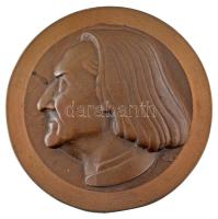 Csíkszentmihályi Róbert (1940-2021) DN Liszt Ferenc balra néző portréját ábrázoló bronz plakett. A plakett peremétől mintegy 12mm mélységben esztergálás nyoma, az alkotói szignó is csak részben látszik (123mm)
