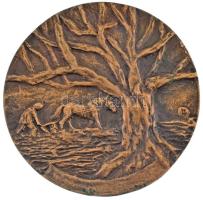 Léderer Tamás (1938-) 1983. "Nyisztor György Emlékérem - alapítva 1977-ben / Adományozás éve 19...