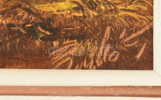 Bimbó Tamás (1968-): Ősz. Olaj, farost, jelzett, fakeretben, 20×40 cm