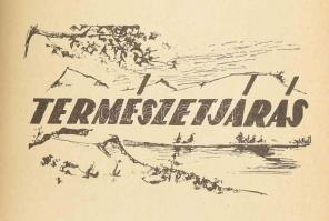 Táborozási könyv. Országos Ifjúsági Sportbizottság. Szerk.: Benedek László és Dr. Welker Ottó. Bp., ...