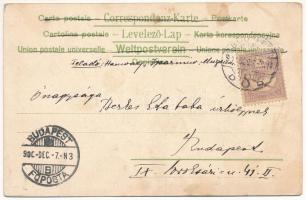 1900 Krampus. Verlag Ed. Arenz Wien Serie 1247. litho (EK)