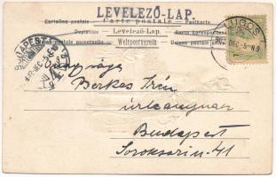 1902 Krampus. Emb. litho (vágott / cut)