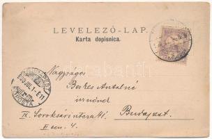 1900 Senj, Zengg; A dohánygyár megnyitása alkalmából / opening ceremony of the tobacco factory. phot...