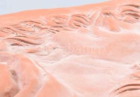 Hölgyportré, égetett agyag dombormű / falikép, jelzett a hátoldalon, alján repedéssel, 36x27 cm