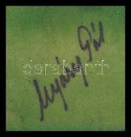 Nyáregyházi báró Nyáry Pál (?-?): Hegyvidék. Akvarell, papír. Jelezve jobbra lent. Kartonra kasírozv...