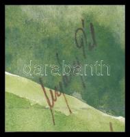 Nyáregyházi báró Nyáry Pál (?-?): Hegyvidéki fenyők. Akvarell, papír. Jelezve jobbra lent. Kartonra ...