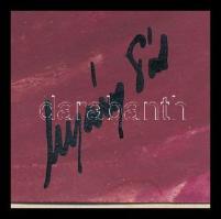 Nyáregyházi báró Nyáry Pál (?-?): Csendélet. Akvarell, papír. Jelezve jobbra lent. Kartonra kasírozv...