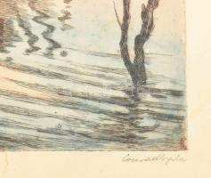 Conrad Gyula (1877-1959): Halásztanya, színezett rézkarc, papír, jelzett, kartonra kasírozva, foltos...