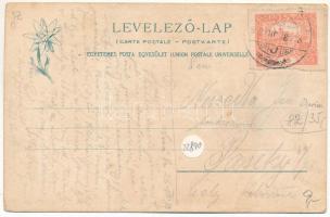 Istvánhuta, István hutta, Stefanshütte, Stefánska Huta (Tátra-Szepes-Zips); sodronypálya. Feitzinger...