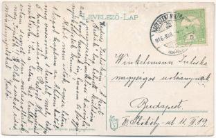 1916 Nagyszentmiklós, Sannicolau Mare; Községháza. Kolonits István kiadása / town hall (EK)