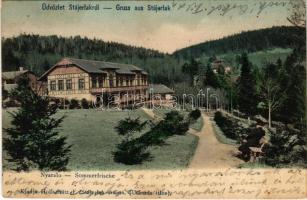 1905 Stájerlak, Steierlak, Stájerlakanina, Steierdorf, Anina; Nyaraló és vendéglő. Hollschütz F. kiadása / villa hotel, restaurant (fl)