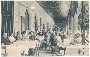 Előpatak, Valcele; Hajdú Ede Előpatak-fürdő nagy vendéglője és szállodája, vendégek és pincérek. Gyula Ferenc fényképész kiadása / spa restaurant and hotel, guests and waiters (fl)