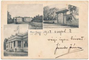 1912 Mezőkapus, Capusu de Campie (Kisikland, Iclanzel); Sándor kúria, kastély, Székelykapu / Székely gate (Poarta secuiasca), castle (EB)