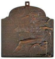 Ifj. Vastagh György (1868-1946) 1909. "XVI. Nemzetközi Orvos Kongresszus - Budapest" bronz plakett füllel. "MCMIX BUDAPESTINI / CONVENTUS MEDICORUM XVI INTERNATIONALIS" (44x40mm) T:AU,XF HP 6363., HV 1398.