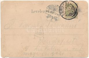 1904 Zernest, Zernyest, Zarnesti; Fő tér / Hauptstrasse / Strada mara / main square (b)