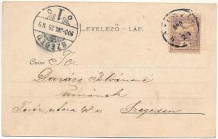 1900 Nagyszalonta, Salonta; Városháza, Salamon Ármin, Mogyorós Gergely, Roth Mór üzlete. Reich Jakab...